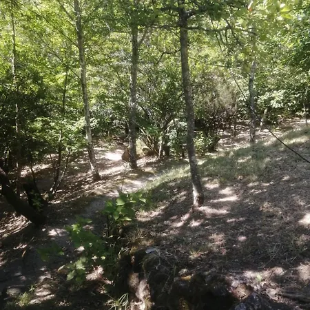 Valley Selvagem キャンプ場 Cabril