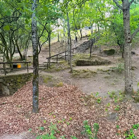 Valley Selvagem キャンプ場 *
