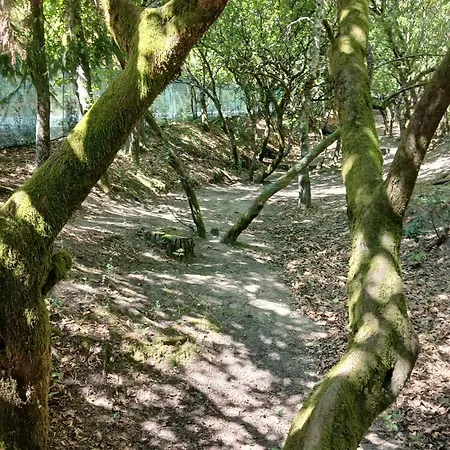 Parque de Campismo Valley Selvagem Cabril (Villa Real)